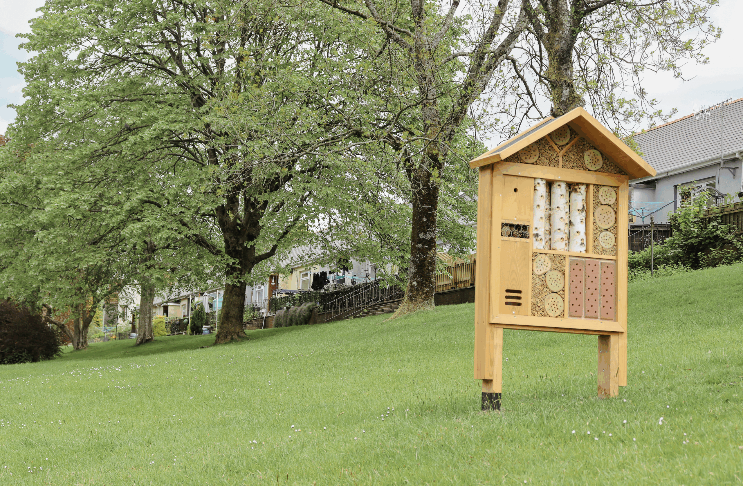 New Community Orchards and Bug Hotels Bring Biodiversity Boost to Blaenau Gwent