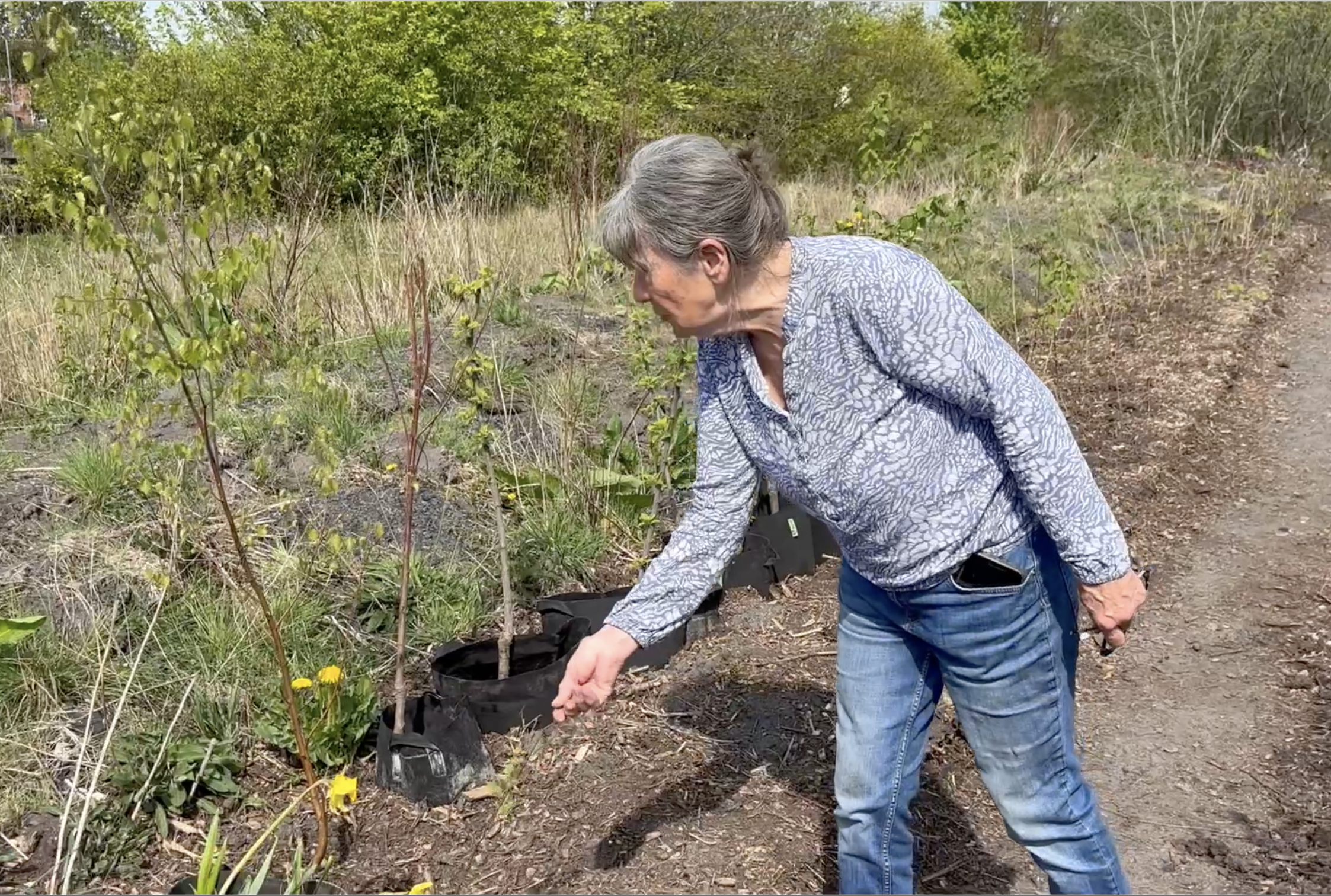Woodland and Green Spaces Strategy &#8211; Tree Nursery